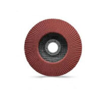 Karbosan Flap Disk Zımpara
