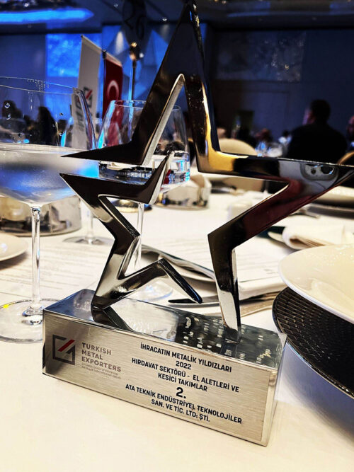 Yildiz2022-500×667